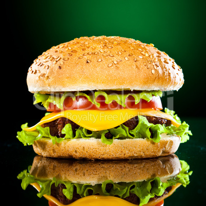 Tasty and appetizing hamburger on a darkly green