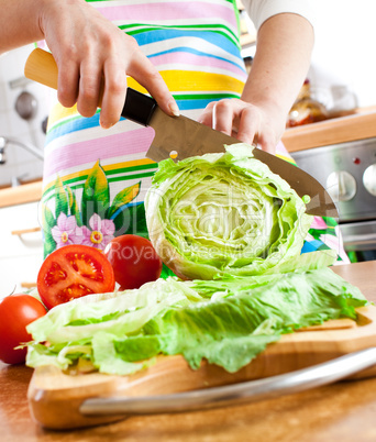 Woman's hands cutting vegetables