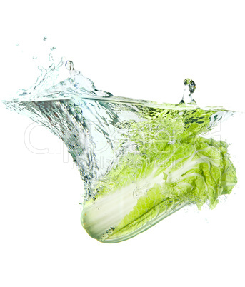 Beijing cabbage in water splash