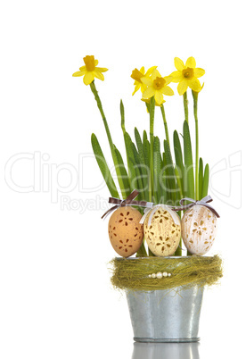 Easter eggs in a flowerpot with yellow daffodils