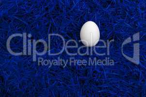 Single white egg on deep blue
