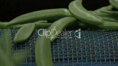 green beans close