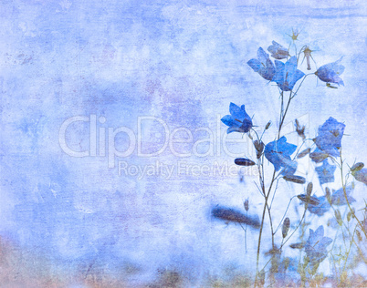 grunge floral background with space for text or image