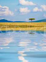 typical african landscape with reflection