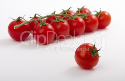 ripe cherry tomatoes on a branch