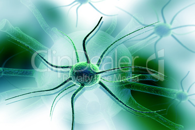 3d nerve cell