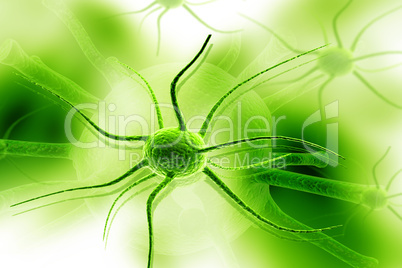 3d nerve cell