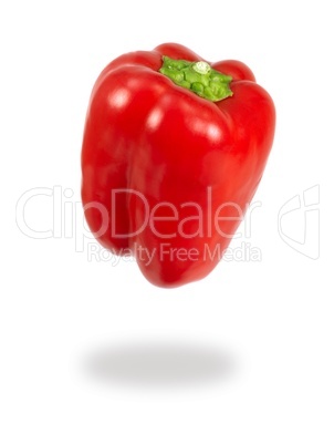 Red Capsicum