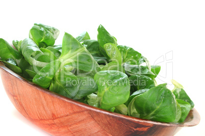 frischer Feldsalat