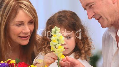 Großeltern zeigen ihrem Enkel verschiedene Blumen