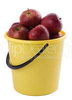 red apples in a yellow bucket