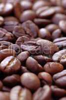 Coffee Bean Texture