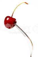 Cherry on Fork