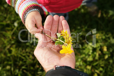 Hand