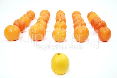 Lemon and Oranges