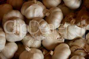 Knoblauch