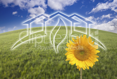 Sunflower, Green House Ghosted Over Fresh Grass and Sky