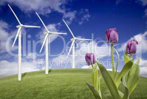 Wind Turbines Against Dramatic Sky, Clouds and Violets