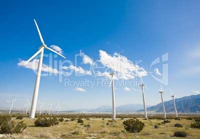 Dramatic Wind Turbine Farm