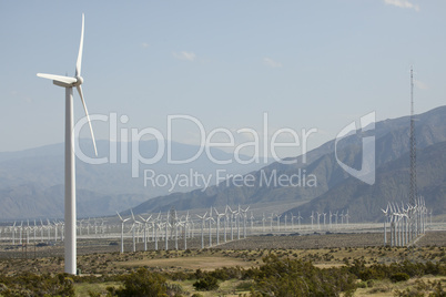 Dramatic Wind Turbine Farm