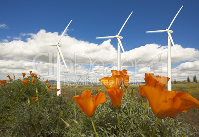 Wind Turbines Against Dramatic Sky and California Poppies  .