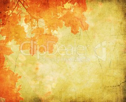 grunge background with autumn leaves grunge background with autumn leaves