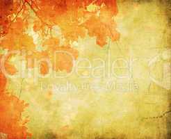 grunge background with autumn leaves