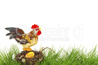 Rooster sitting on an easter nest