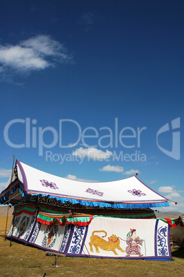 Tent on grassland