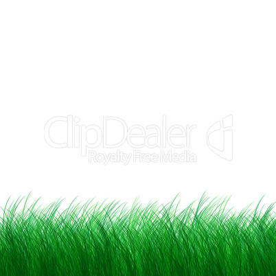 Green grass