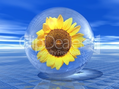Snowflower in a bubble