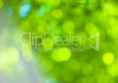 abstract green bokeh - perfect background