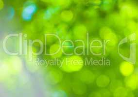 abstract green bokeh - perfect background