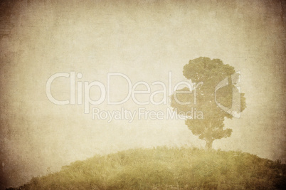 grunge image of a tree over grunge background