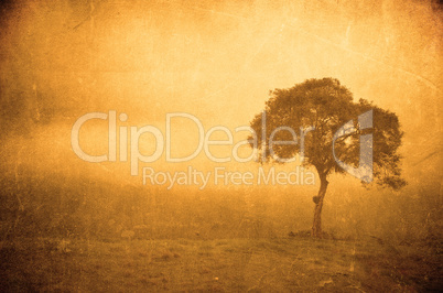 grunge image of a tree on a vintage paper