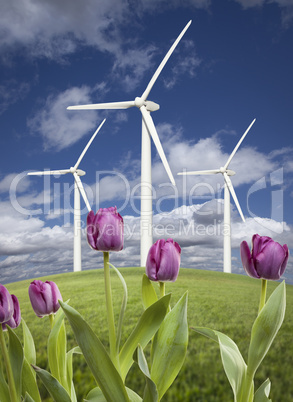 Wind Turbines Against Dramatic Sky, Clouds and Violets