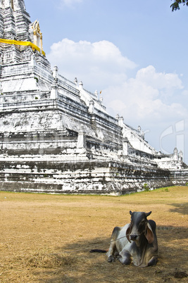 Wat Phu Khao Thong