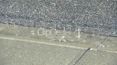 Rain drops on pavement