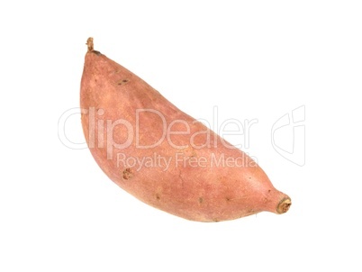 Sweet Potato