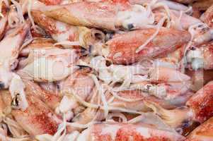 fresh squids at a fish market