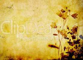 grunge floral background with space for text or image