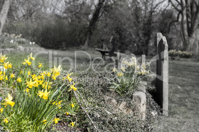 Flowers in graveyard