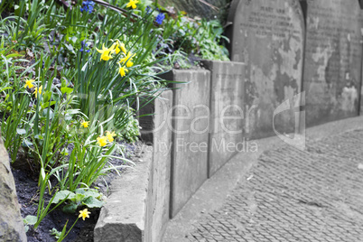 Row of ancient gravestones