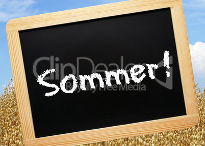 Sommer ! - Konzept mit Getreide und Himmel