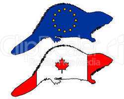 Europäischer und kanadischer Biber