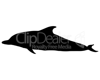 Delfin Silhouette