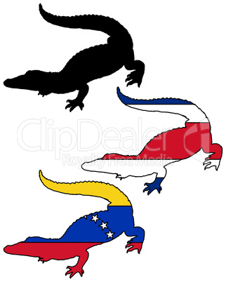 Krokodil Südamerika