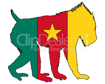 Mandrill Kamerun