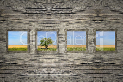 Holzwand mit Fenster und Blick auf Landschaft