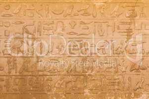 egyptian hieroglyphics from saqqarah, cairo